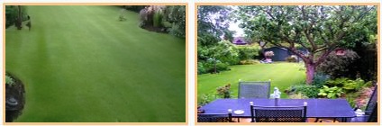 Artificial Grass in Cheshire